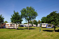 Vorschaubild: Camping Oase Bonanza in Wendtorf bei Laboe Stellplatzwiese
