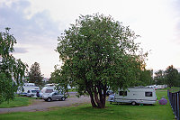Vorschaubild: Camping Ounaskoski in Rovaniemi Stellflächen zwischen Fluss und Zaun