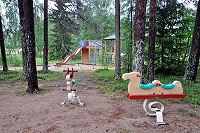 Vorschaubild: Camping Korvalan Kestikievari in Tiainen Rovaniemi Spielplatz