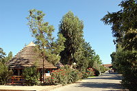 Vorschaubild: Village Arinella Bianca in Ghisonaccia Weg zum Strand. Im Hintergrund: Kommerzzentrum