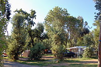 Vorschaubild: Village Arinella Bianca in Ghisonaccia Stellplätze unter Eukalyptusbäumen und Eichen