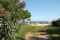 Vorschaubild: Village Arinella Bianca in Ghisonaccia Weg zum Strand
