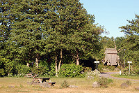 Vorschaubild: Sonjas Camping in Löttorp  /Öland Zeltcamperwiese