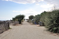 Vorschaubild: auf Camping Marina d'Aleria erste Stellplatzreihe