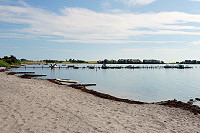 Vorschaubild: Ronæs Strand Camping in Ronæs bei Nørre Åby / Fyn Bade- und Bootsstrand