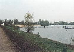 Vorschaubild: Camping Wisseler See in Kalkar - Wissel Blick auf den Wisseler See vom Platz