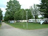 Vorschaubild: Riedsee-Camping in Donaueschingen Ebene Wiesenfläche unter Bäumen bietet viel Platz