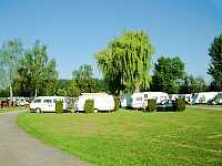 Vorschaubild: Europa Camping in Willstätt-Sand gepflegte Stellflächen unter schattigen Bäumen im Zentrum des Camps