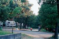 Vorschaubild: Camping Municipal de la Péde in Mondragon Wie auf vielen französischen Campingplätzen gibt es auch hier eine Boulebahn. Es ist ein Schauspiel, den Spielern zuzusehen