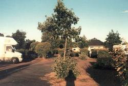 Vorschaubild: Camping - Caravaning Ile d'Offard in Saumur Stellplätze im vorderen Platzteil