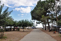 Vorschaubild: Camping Marina d'Aléria in Aléria Stellplätze unter Bäumen