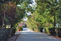 Vorschaubild: Camping Ionion Beach in Glifa bei Lygia gepflasterter Weg im Platzinneren