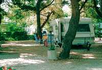 Vorschaubild: Camping Pineto Beach in Pineto Beim Rangieren unbedingt auf Baumäste achten.