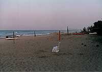 Vorschaubild: Camping Pineto Beach in Pineto Strand am Abend