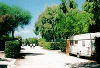 Vorschaubild: Camping Villaggio dei Pini in Paestum Stellplätze in geräumigen Nischen, von Hecken eingegrenzt