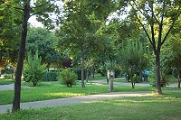 Vorschaubild: Camping Vicenza in Vicenza viele freie Stellplätze