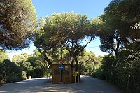 Vorschaubild: Camping Riva di Ugento in Ugento Platzeinfahrt, Kontrollhäuschen