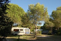 Vorschaubild: Camping Riva di Ugento in Ugento sonnige Stellplätze