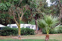 Vorschaubild: Sporting Club Village in Mazara del Vallo schattige Stellplätze