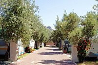 Vorschaubild: Paradise Camping in Letojanni (bei Taormina) Stellplätze