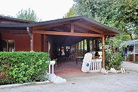 Vorschaubild: Camping Burlamacco in Torre del Lago Puccini Versorgungsbereich