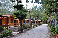Vorschaubild: Camping Burlamacco in Torre del Lago Puccini Miethütten