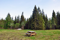 Vorschaubild: NAF-Camping Mellingsmo in Namsskogan / Namsen Stellflächen am Wald