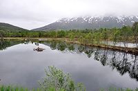Vorschaubild: Gullesfjordbotn Camping in Gullesfjord Platzgestaltung