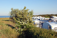 Vorschaubild: Tobisviks Camping in Simrishamn Plätze hinter der Düne