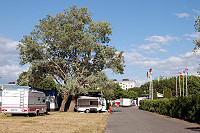 Vorschaubild: Bredängs Camping in Stockholm-Bredänd Wiesenstellplätze links von der Einfahrt