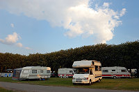Vorschaubild: Malmö Camping och Feriencenter in Malmö parzellierte Wiesenplätze