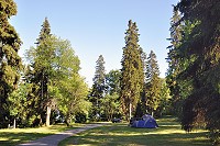 Vorschaubild: First Camp Kolmården in Kolmården lauschige Zeltplätze
