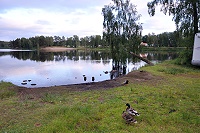 Vorschaubild: Sjötorpet Campingpark in Markaryd am Getesjön