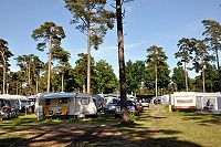 Vorschaubild: Camping Sandskogen in Ystadt Waldstellplätze