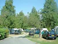 Vorschaubild: Camping Gemmi in Agarn bei Susten Vom kurzen Hauptweg geht es nach rechts und links auf die Wiesenflächen