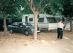 Vorschaubild: Camping el Camell in Pineda de Mar Die Stellplätze sind schattig und staubig zugleich