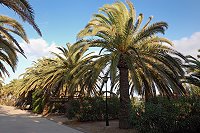 Vorschaubild: Camping Tamarit Park in Tarragona-Tamarit Stellplätze am Strand