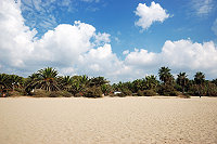 Vorschaubild: Camping Tamarit Park in Tarragona-Tamarit Unter Palmen am Mittelmeer