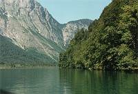 Vorschaubild: Königsee Der Kalk lässt das Wasser des Sees grün erscheinen.