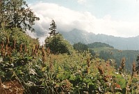Vorschaubild: Berchtesgaden Land Der Blick in die Bergwelt des Berchtesgadener Landes ist phantastisch.