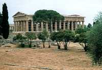 Vorschaubild: Paestum Der Poseidontempel (2.Heratempel)