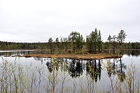 Vorschaubild: Inarisee An den Buchten des Inari-Sees