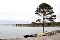 Vorschaubild: Inarisee An den Buchten des Inari-Sees