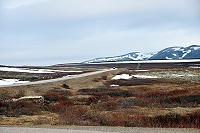 Vorschaubild: auf dem Fjeld über das Kongsfjordfjellet