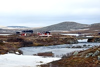 Vorschaubild: auf dem Fjeld auf dem Fjellet