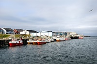 Vorschaubild: Berlevåg im Hafen von Berlevåg