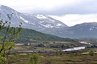 Vorschaubild: Entlang der E6 Auf dem Dovrefjell