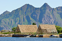 Vorschaubild: Auf den Lofoten Stockfischgestelle bei Svolvær