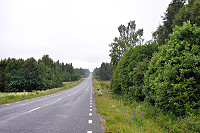 Vorschaubild: Weiter durch Schweden schnurgerade Straßen