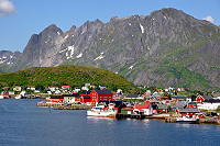 Vorschaubild: Noch mehr Lofoten Blick auf Reine